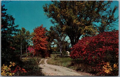 Greetings From North Canton Ohio Leaves Turning Color Postcard F650