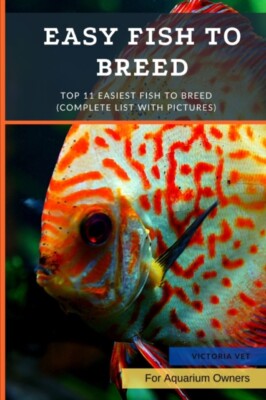 Vet - Easy fish to breed  Top 11 Easiest Fish To Breed Complete List  - X555z