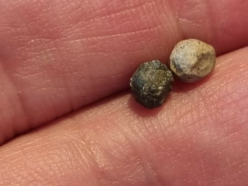 Exceptional Very Rare Viking polyhedral weights. A must read description LA144z