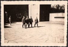 WWII Original Photo German Army Soldiers - 2.4 x  3.5 inch - 