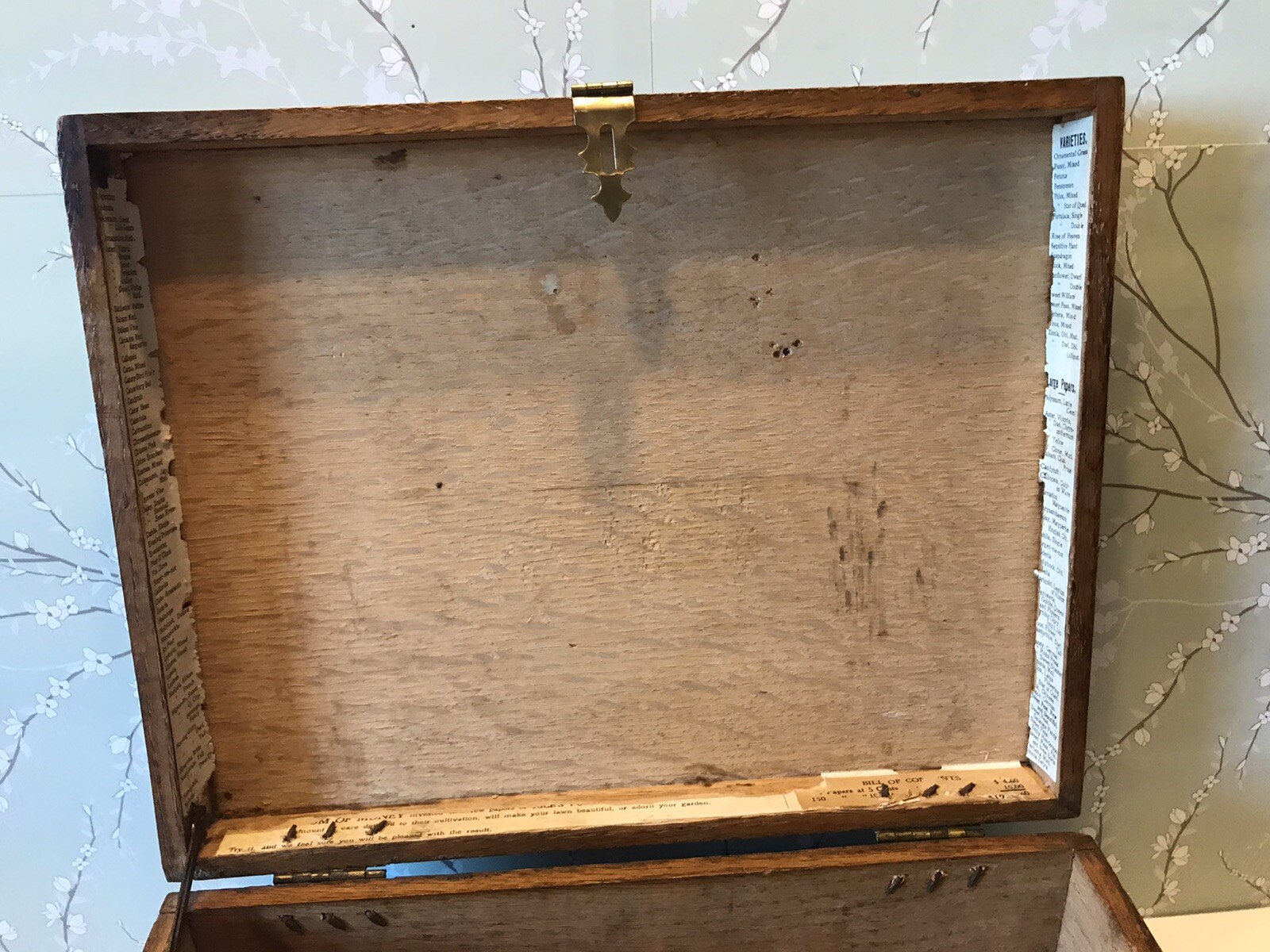 Picture 4 of 11