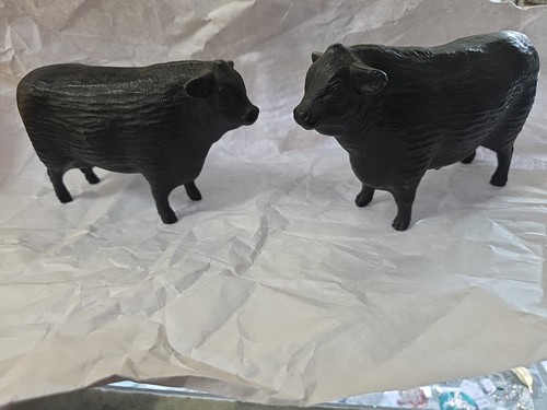 Hartland Angus Bull and Cow