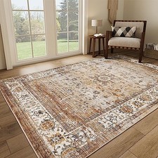 5x7 Area Rugs for Living Room,Stain 5' x 7' Rectangular Apricot/Blue