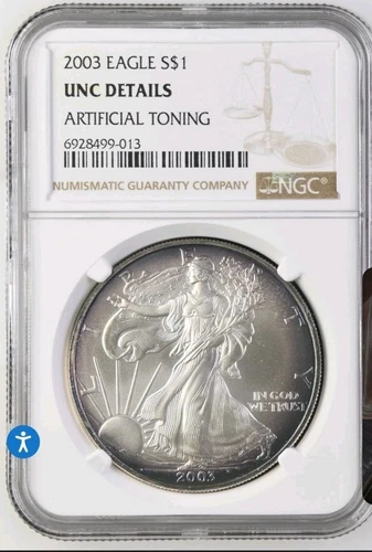 2003 American Silver Eagle NGC UNC Details - Beautiful Dual Sided Toning
