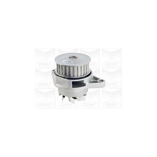 Graf PA1124 Raffreddamento Motore