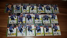 DEL 13-14 2013-2014 Basic Schwenninger Wild Wings Teamset (19 Karten) 