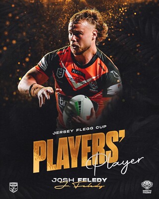 WESTS TIGERS team PLAYER poster,FREE POST ,BARGAIN