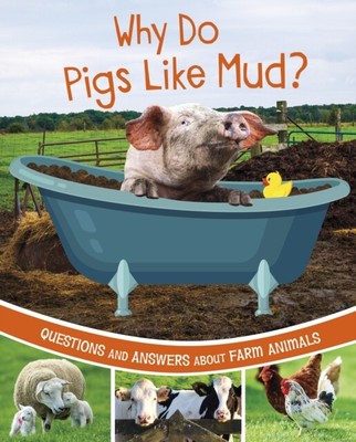 Why Do Pigs Like Mud by Katherine Rawson  NEW Hardback