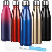 Sfee Insulated Water Bottle, 17 oz Stainless Steel 17 Ounces, Dark Blue 