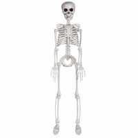 Halloween Skelett 90Cm Lebensgroß Mit Beweglichen Gelenken FüR Deko Garten