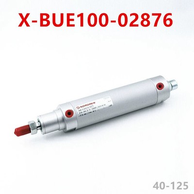 1PCS NEW FIT FOR NORGREN X-BUE100-02876 cylinder replacement