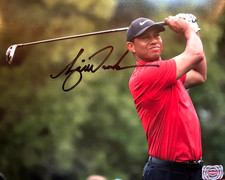 Tiger Woods Signed (PGA MAsters GOLF) 8x10
