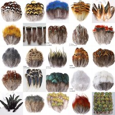 25 Types Natural Feathers Peacock Rooster Goo...