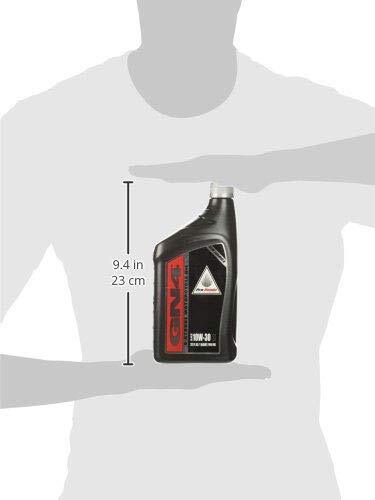 Pro Honda GN4 10W30 Engine Oil 1 Quart OEM Honda Part 08C35 A131M02