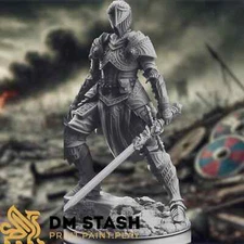Oath of Vengeance Paladin Knight Dnd Mini | Female Champion Mini | By DM Stash