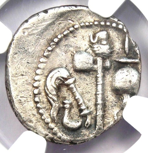Julius Caesar AR Denarius Silver Elephant Roman Coin 49 BC - NGC Choice XF (EF) - Picture 4 of 5