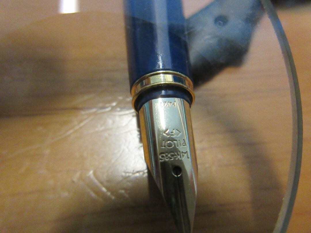 Pilot Deluxe Urushi 14K F Nib Lacquer Fountain Pen | eBay