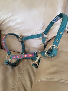 Vintage Hamilton Horse Halter Average 800-1100 lbs