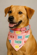 Whimsy Dog Bandana Collar   M14  20 in   Reversible   Pink Pronoun Print   New