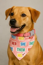 Whimsy Dog Bandana Collar – M14–20 in) – Reversible – Pink Pronoun Print – New