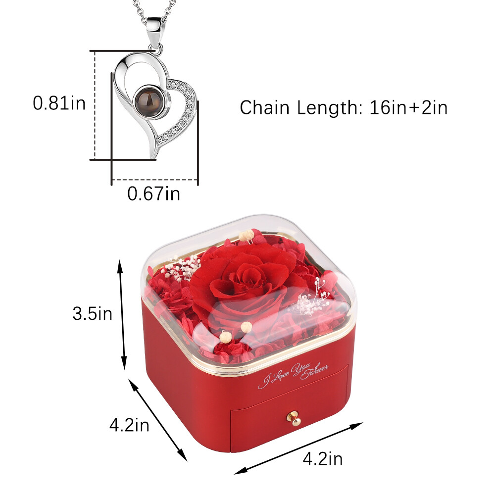 Valentine's Day Jewelry Gift Birthday Gift Projection Pendant Necklace Collarbon