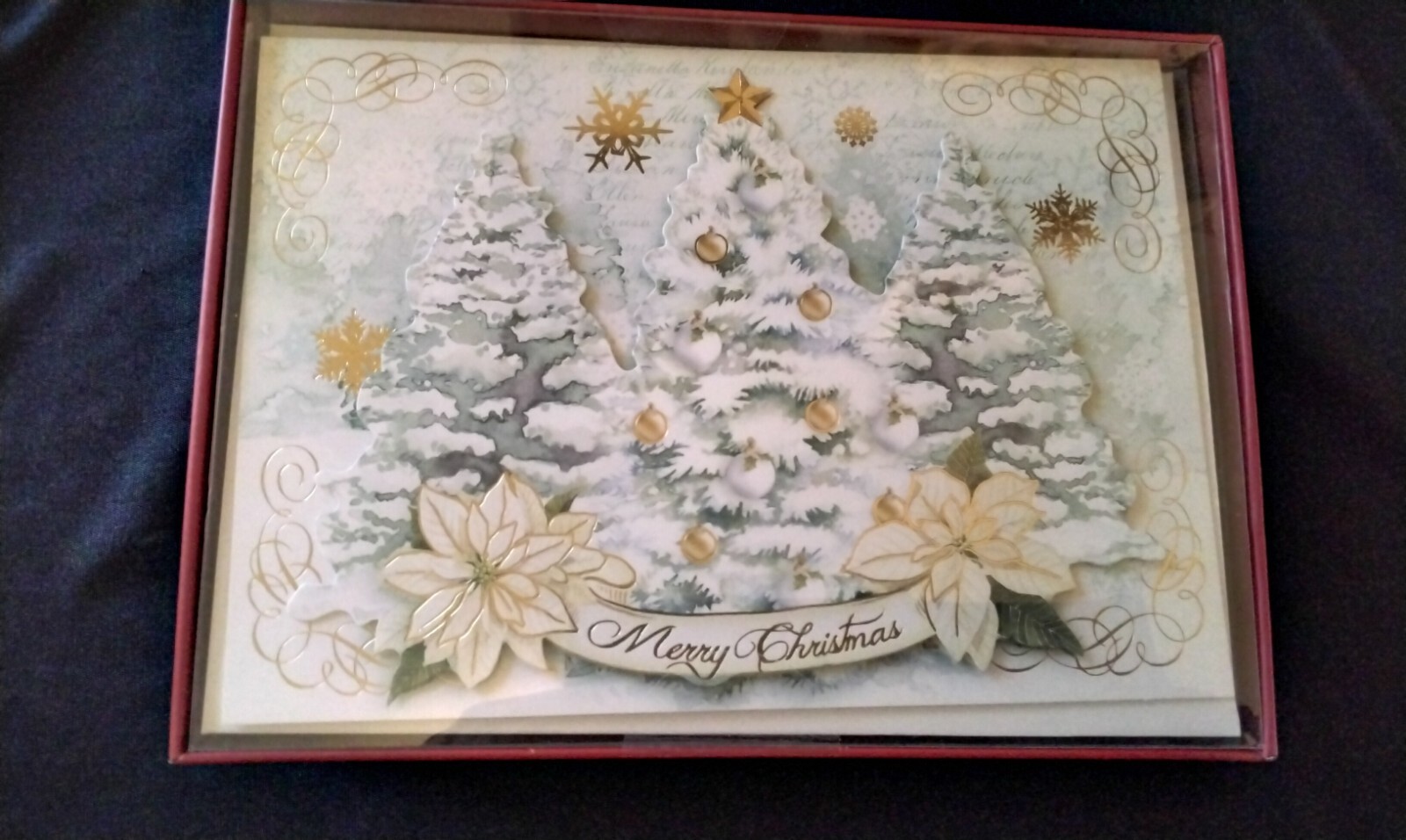 Picture 6 of 6