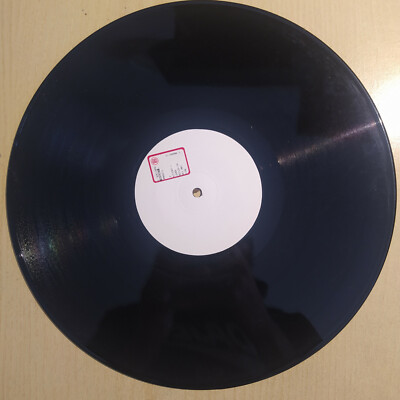 MEGA RARE PROGRESSIVE HOUSE TEST PRESS LP 12'' - J&P    Automatic Lover 