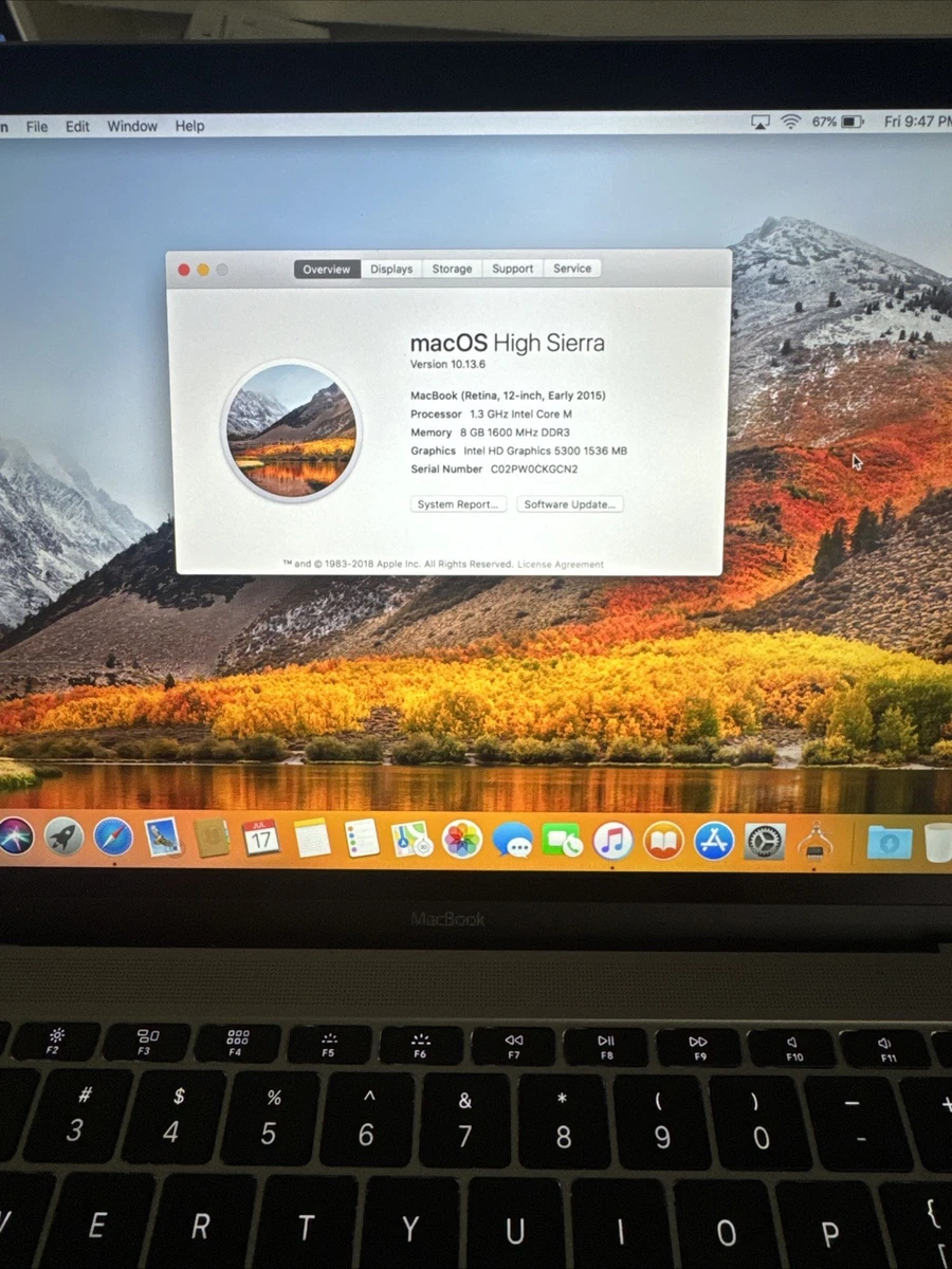 2015 Apple MacBook 12 Inch Laptops for sale | eBay