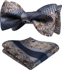 HISDERN Bow Ties for Men Paisley Bowties Mens Self Tie Bow Tie and Pocket