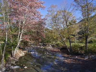 Ripton Vermont Robbins Branch Creek Autumn 2017 White River Tributary