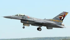 Lockheed Martin F-16 Fighting Falcon Wild Weasel 50 Years Wood Model Large 1/32