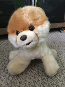 pomeranian boo toy