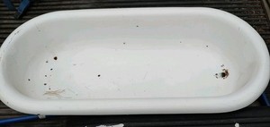 Vintage (1910-50s) White Porcelain Enameled Steel Baby Bath Tub made in Hungary 