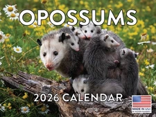 Opossum Calendar 2026 Monthly Wall Calender 12 Month