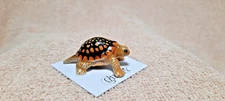 LITTLE CRITTERZ Box Turtle "Dom" Miniature Figurine New FREE SHIPPING LC308
