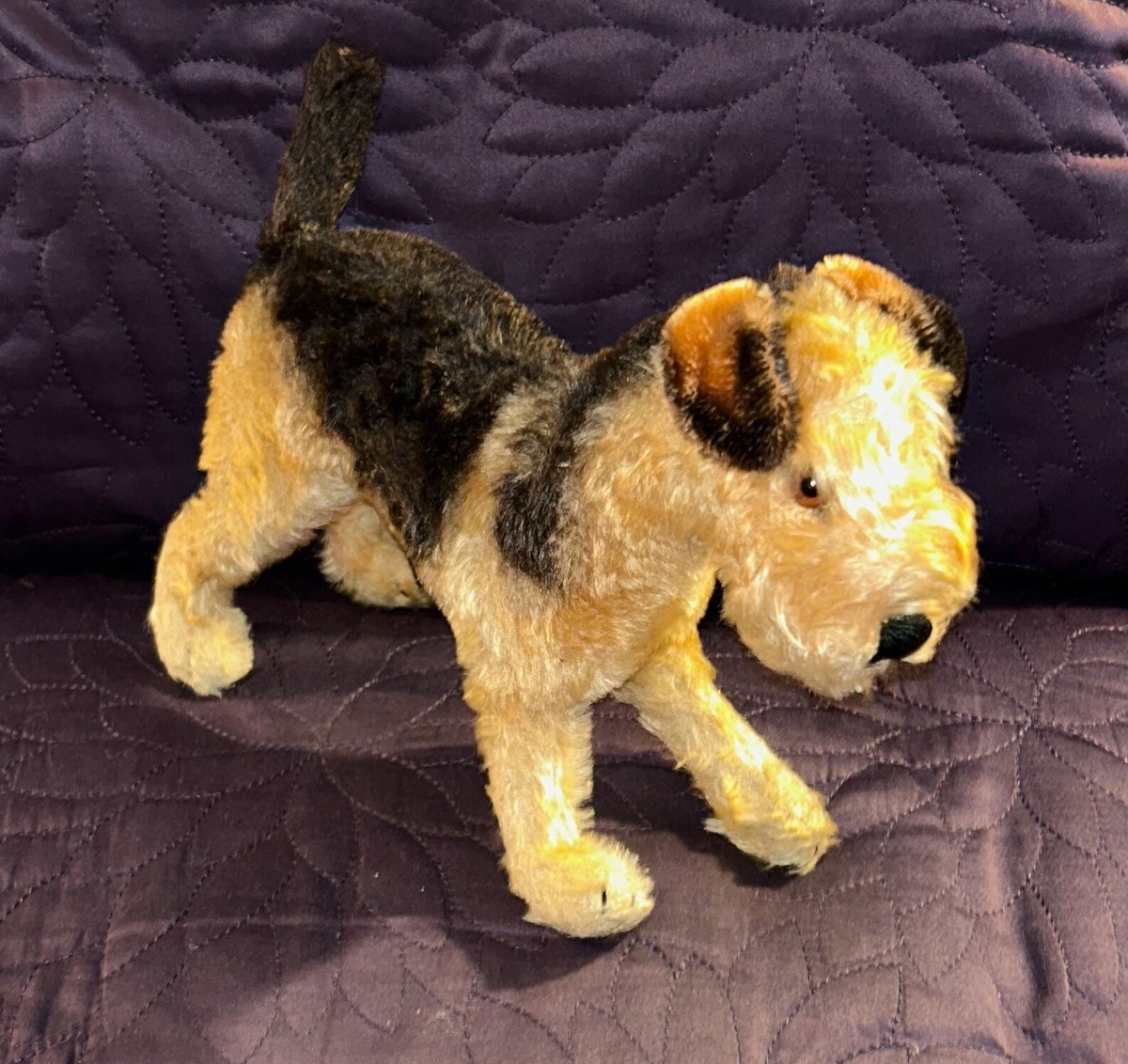 Steiff シュタイフ テディベア Terri Welsh Terrier Mohair ウェルシュ