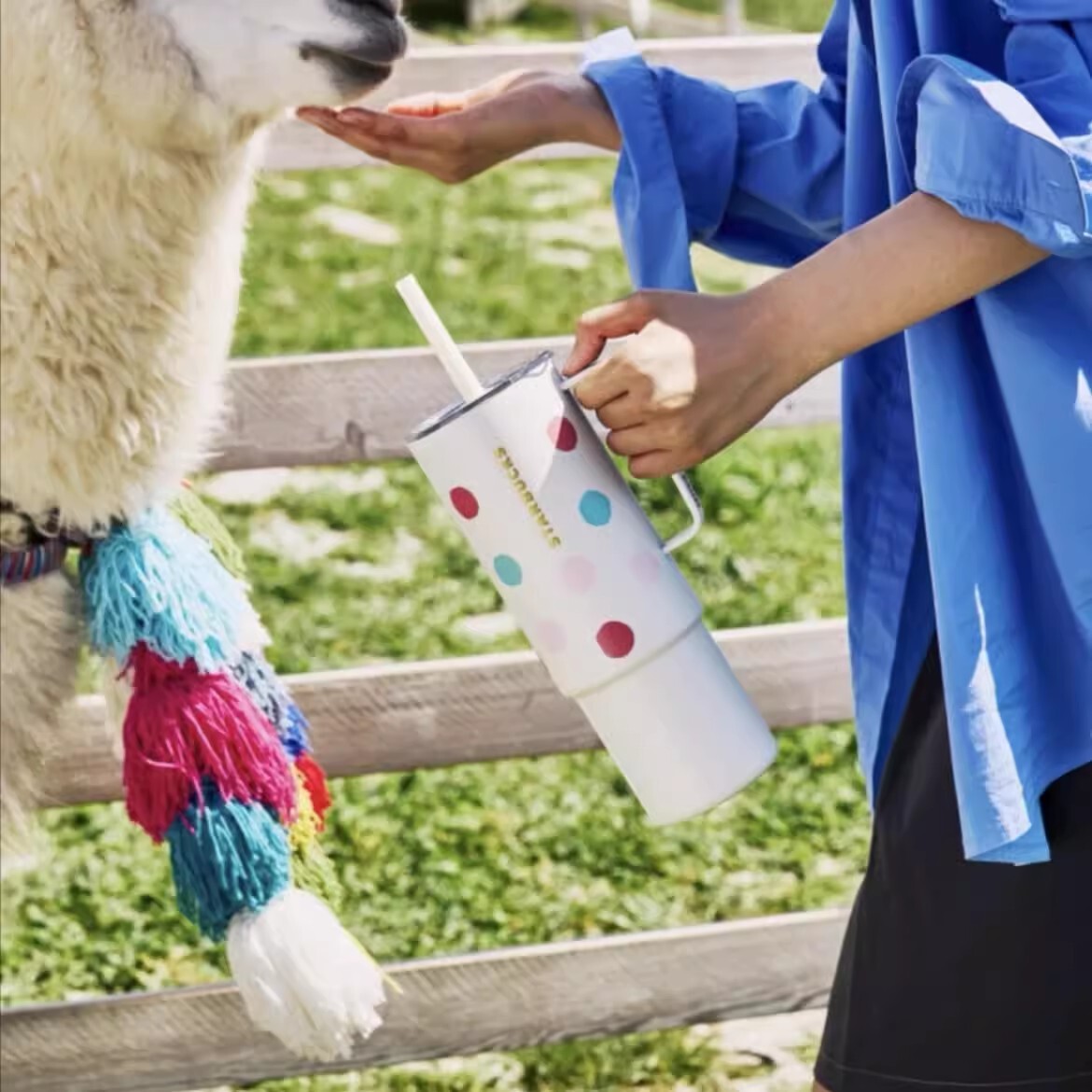 New China Starbucks 2024 Summer Alpaca Paradise 32oz Polkadots SS