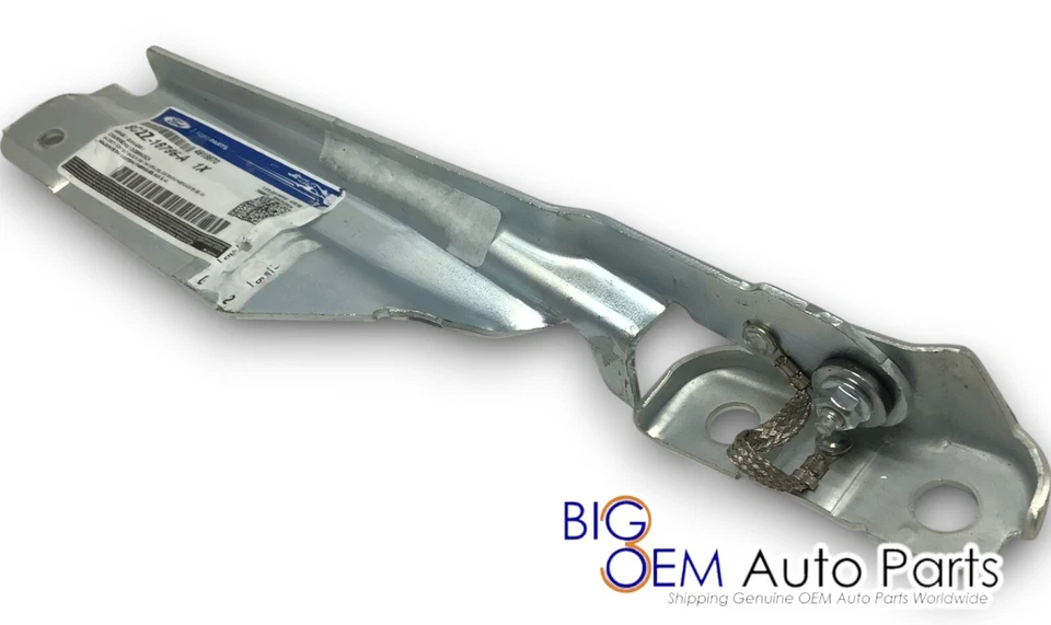 Ford Serie E 1992-2025 furgoneta lado pasajero bisagra capó derecho nuevo OEM 8C2Z-16796-A Foto 3 de 4