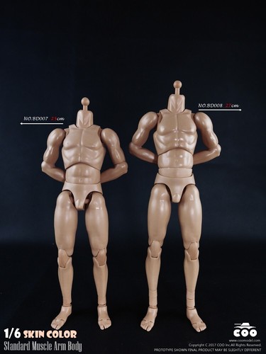 Coomodel 1/6 Stecker Standard Muscle BD008 Actionfigur Körperpuppe 12" Modellspielzeug - Bild 6 von 24
