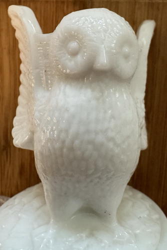 Porta stuzzicadenti vintage MCM Westmoreland opalescente bambino gufo bianco vetro latte - Foto 5 di 7