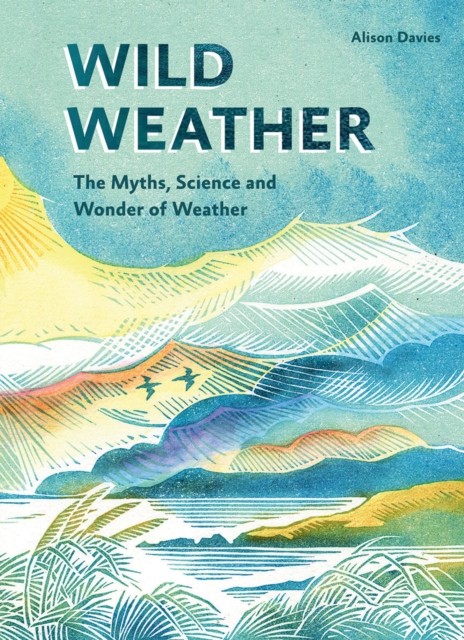 Wild Weather by Alison Davies (Hardback Book)