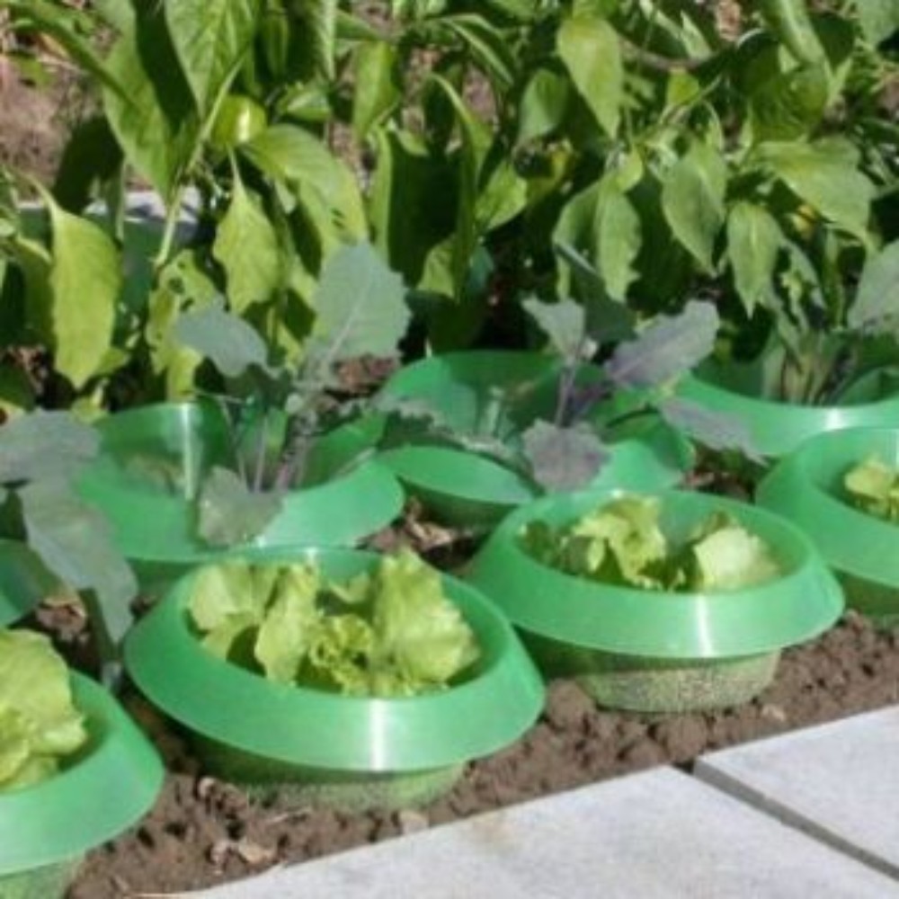 Reusable Slug Collars for  Garden Plants 4 Pack