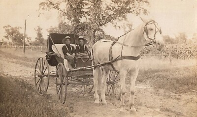 A young couple out for ride in their horse drawn buggy, ca. 1900 Stock