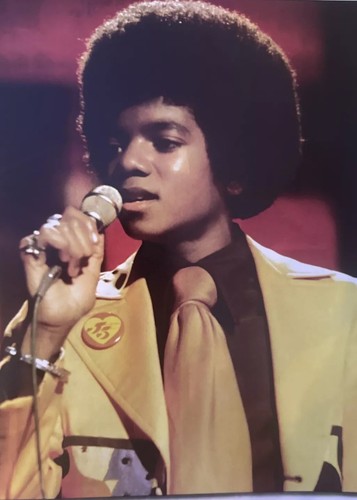 MICHAEL JACKSON THE KING OF POP 1958 -2009 COLLECTORS PHOTO GALLERY JACKSON New - Picture 3 of 7