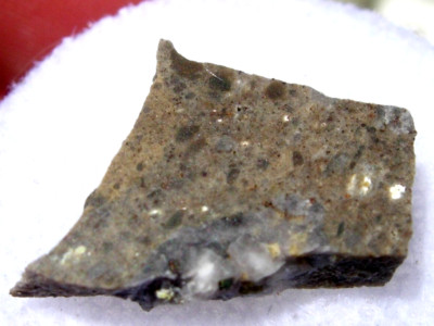 .920 grams 15mm Oued El Hamim 001 Lunar fragment Meteorite (frag. breccia) + COA