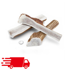 LARGE SPLIT ELK ANTLER Premium Dog Chew 3pc OREGON ANTLER WORKS
