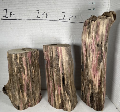 Driftwood 3 Pieces natural aquarium terrarium beach decor taxidermy