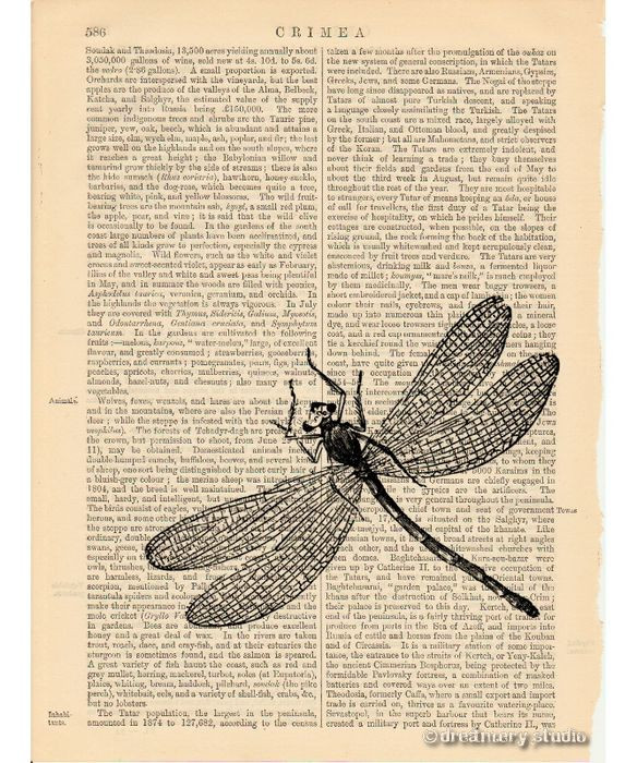 Dragonfly Art Print on Vintage Book Page Home Garden Office Hanging ...
