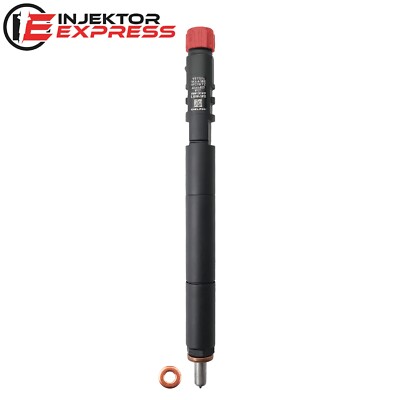 EJBR04501D Delphi Injektor Ssang Yong Actyon 2.0 Xdi A6640170121