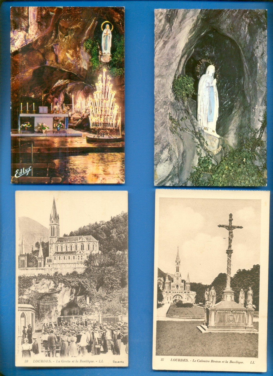 Bild 5 von 12